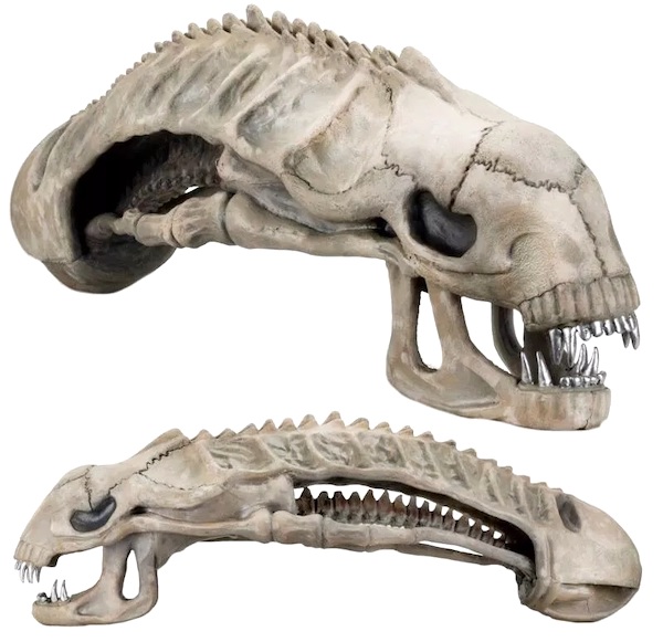 NECA Aliens 36" Foam Prop Replica Alien Skull. Click to value yours