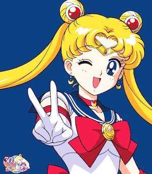 Sailor Moon has a cult following amongst action figure collectors